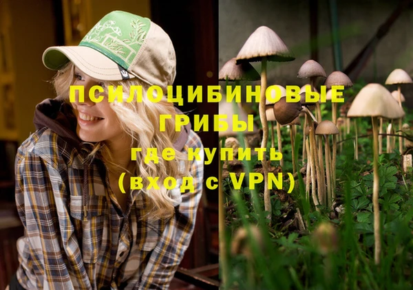 гидра Кукмор