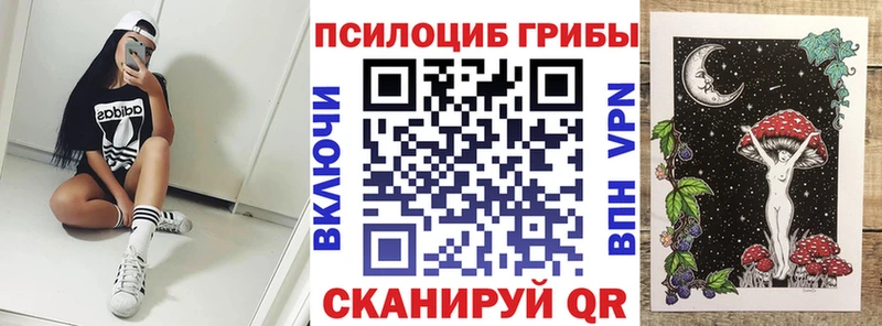 Псилоцибиновые грибы MAGIC MUSHROOMS  Купить где  Россошь 